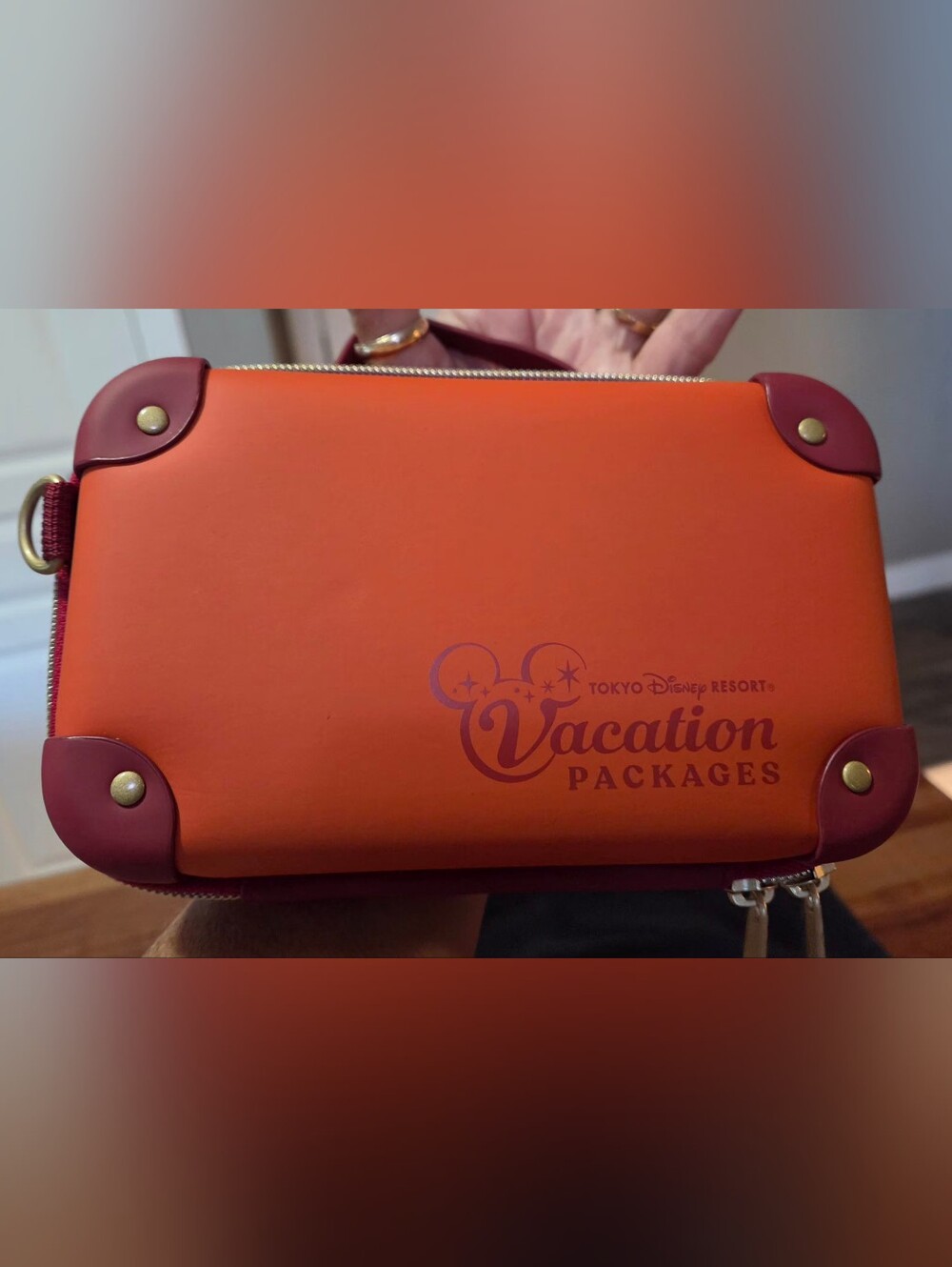 New Toyko Disneyland Vacation Package Bag. - Picture 10 of 16